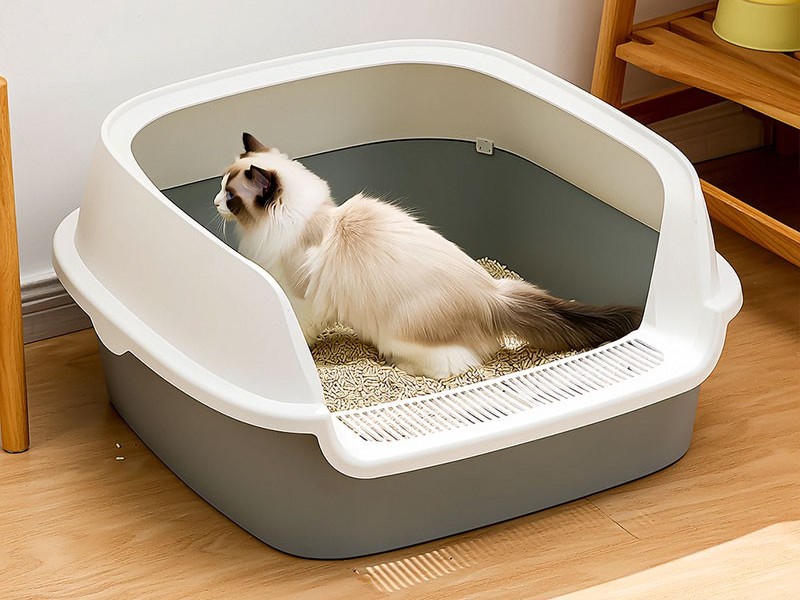 大号猫砂盆注塑