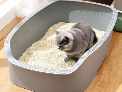大号猫砂盆注塑
