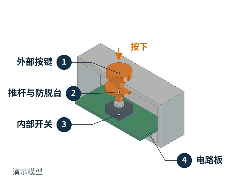 按键推杆对准电路板上内部开关的演示模型